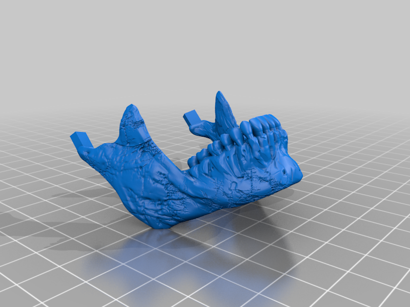 3D Printed Human Skull – Anatomical Model (3-Piece Set, Custom Color)